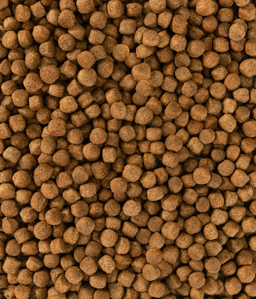 Dehner Hundetrockenfutter Adult, Knusper Mix Mit Rind, Lamm, Fisch, Kaninchen Und Geflügel, 12 Kg 4 Dehner Hundetrockenfutter Adult, Knusper Mix Mit Rind, Lamm, Fisch, Kaninchen Und Geflügel, 12 Kg – Bild 2