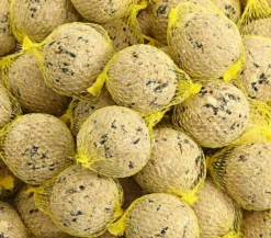 Dehner Natura Wildvogelfutter, Große Meisenknödel, Mit Netz, 100 Stück Je 100 Gramm (10 Kg) -Natur Garten Verkauf fddaff9acce1d06aee52bed01c8e39ee